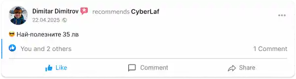 Отзив на Димитър Димитров за стойността на книгата CyberLaf